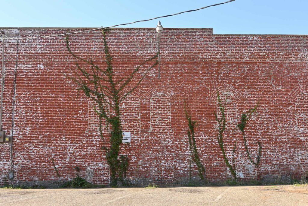 BrickForest3