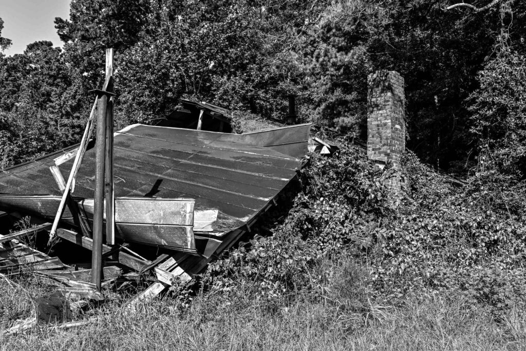 DSC_7954