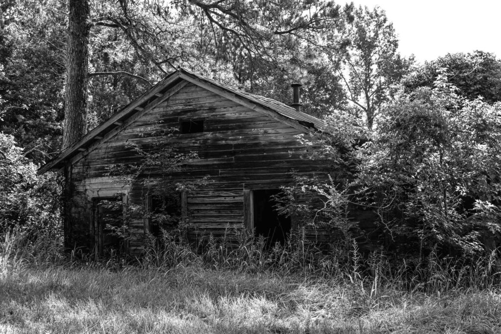 DSC_7969