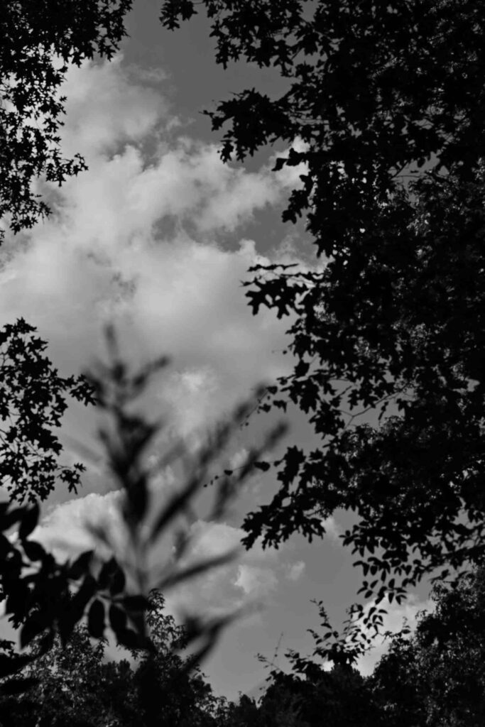 DSC_8031