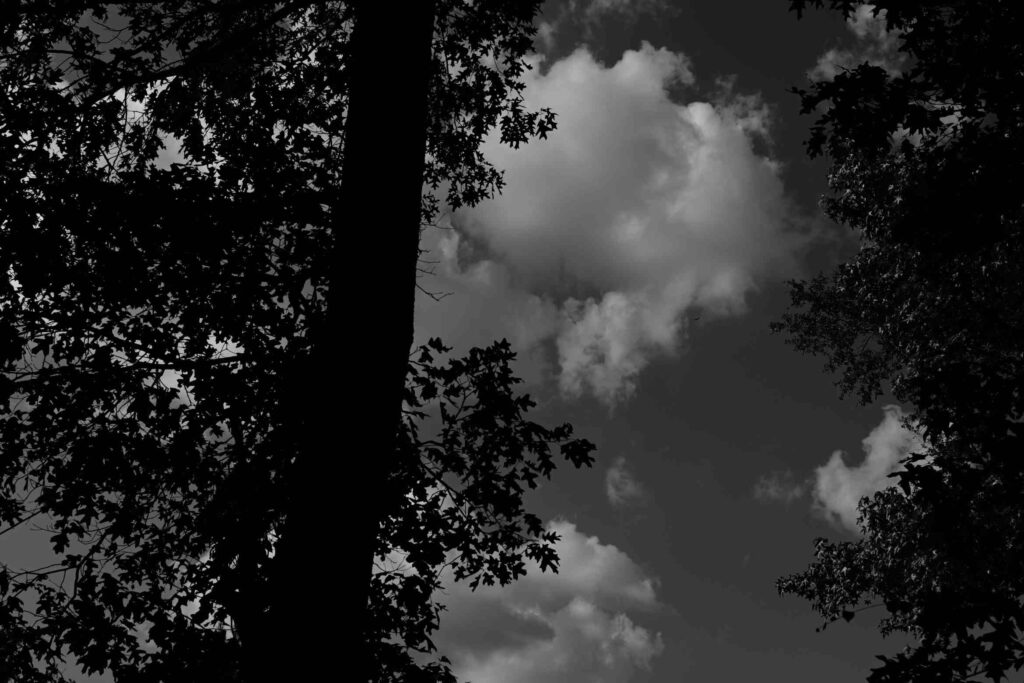 DSC_8036