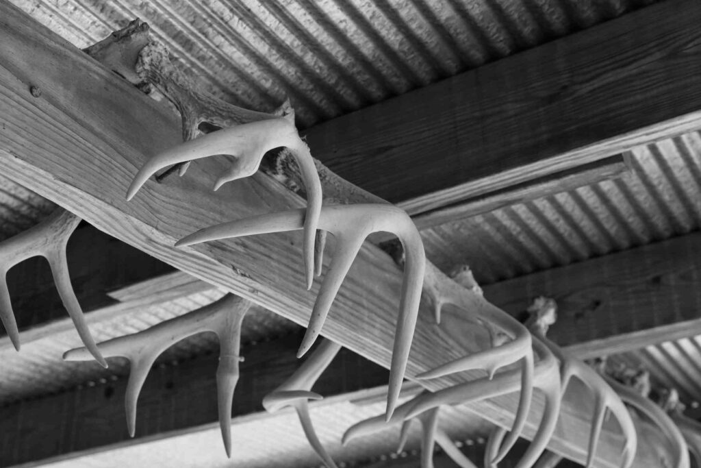 ATC1bw