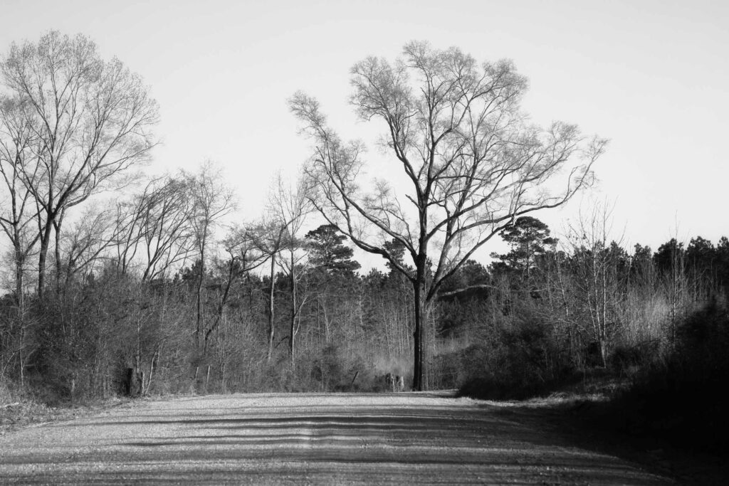 DRredbwbanger(ss-port)