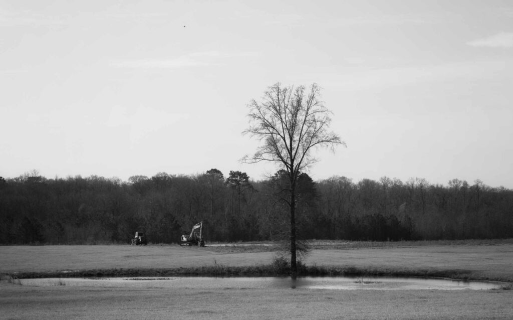 PastureOasisornge(ss-port)