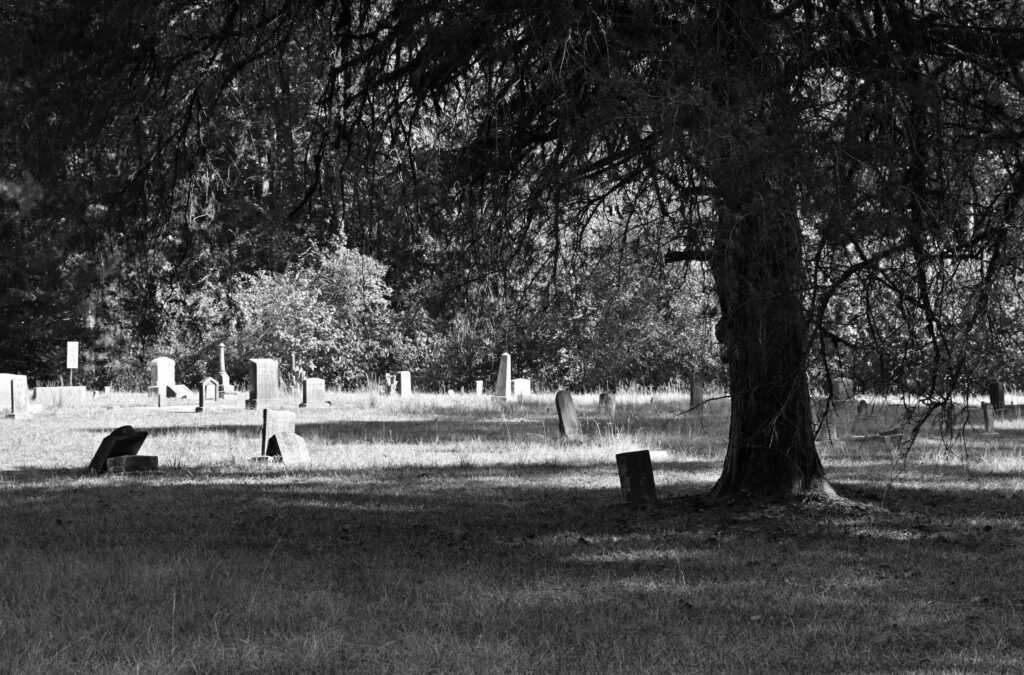 Cemetary2best